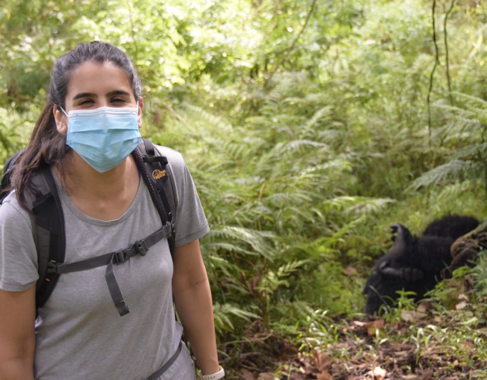 4-Day Luxury Uganda Gorilla Trekking Experience: An Unforgettable Adventure in the Land of a Thousand Hills
