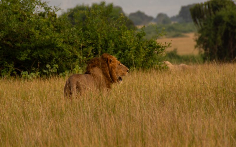 Kidepo Valley National Park