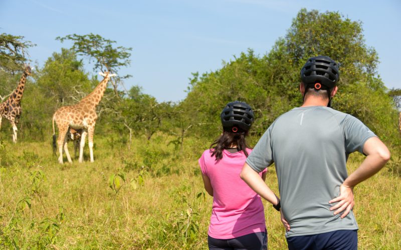 Best of Western Uganda Safari