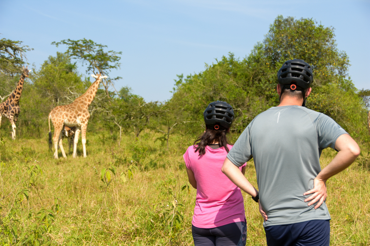 Best of Western Uganda Safari