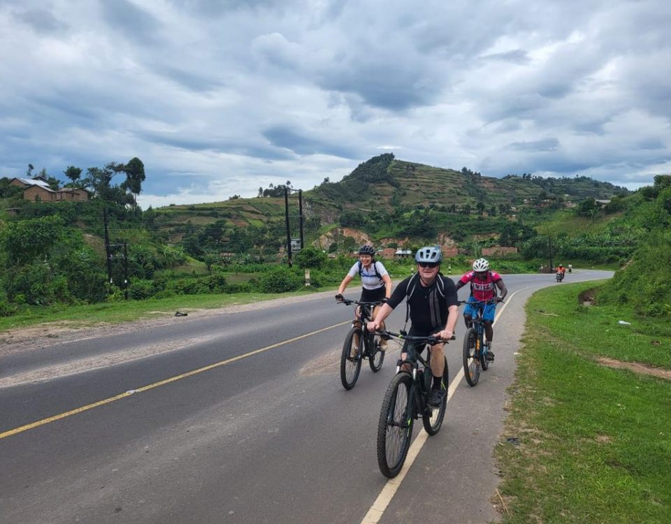 Uganda Wildlife and Primate Safari