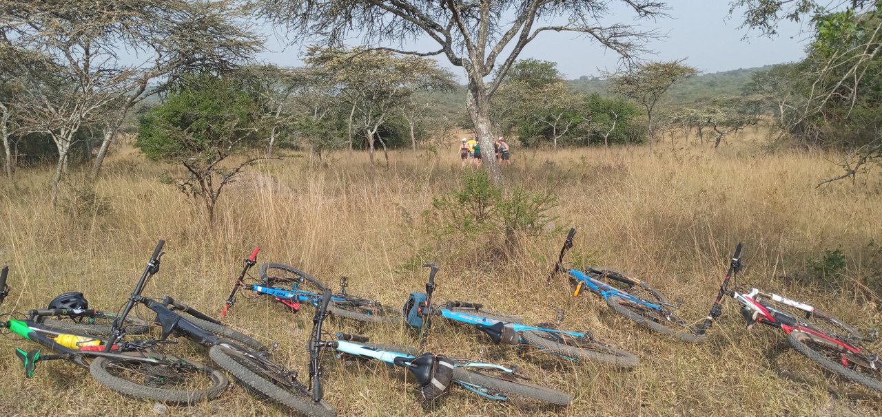 Rwanda Uganda Mountain Bike Safari 