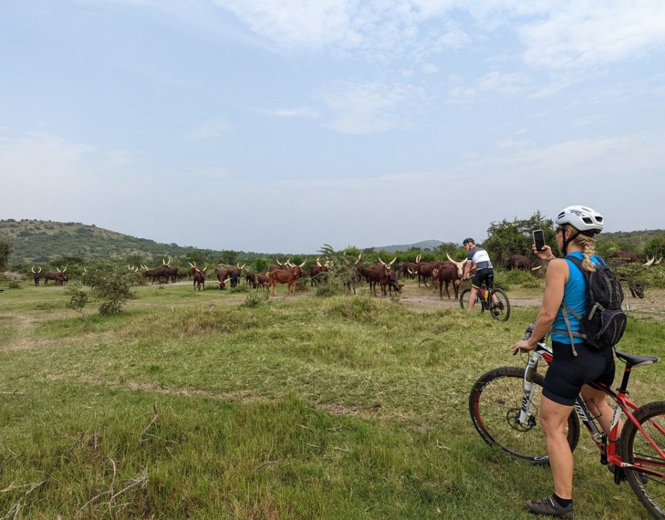 8-Day African Safari Holiday