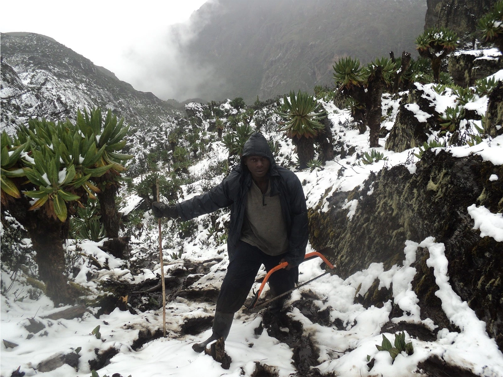 Mountain Hiking Safari Experience
