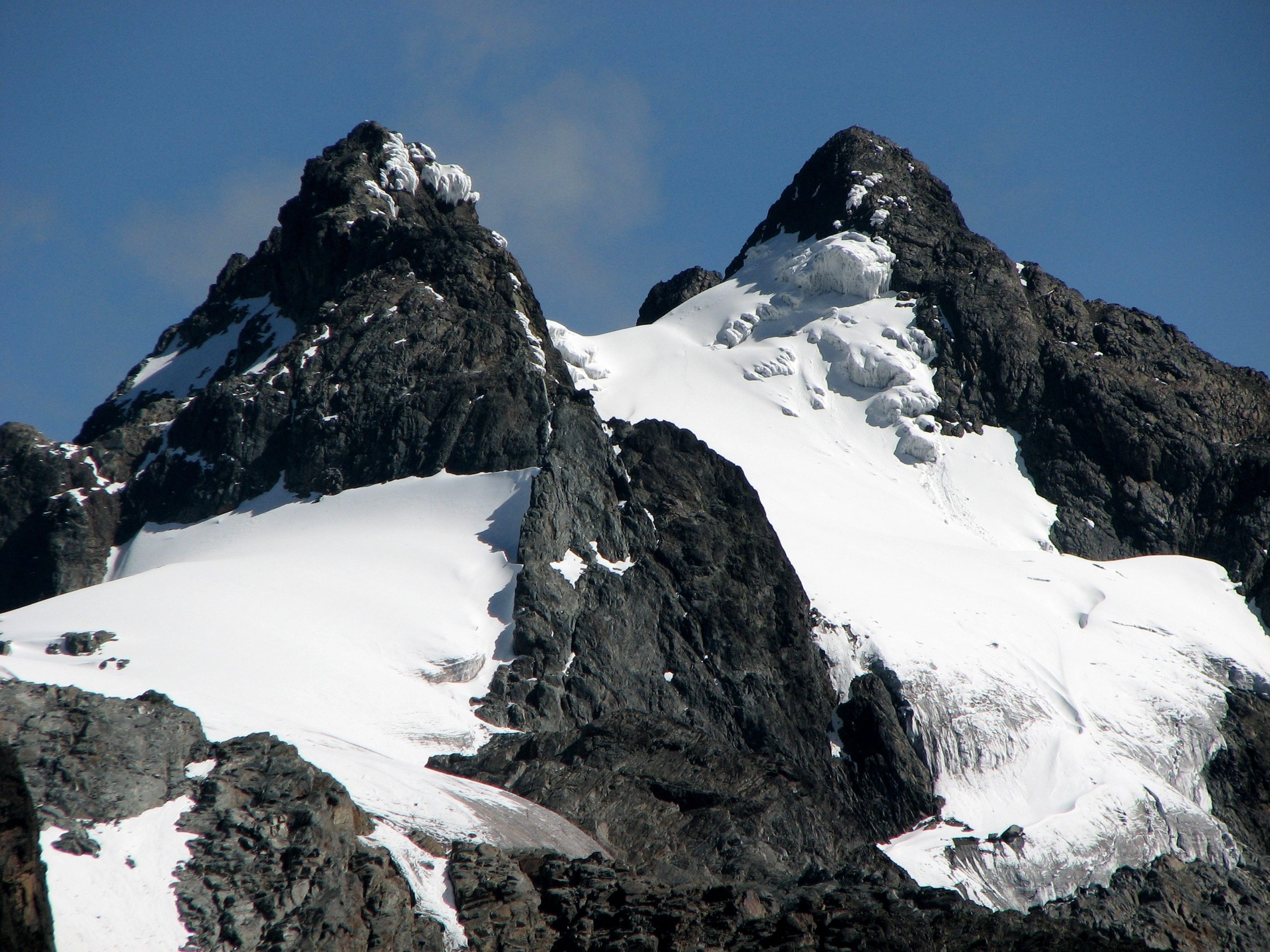 Mountain Hiking Safari Experience