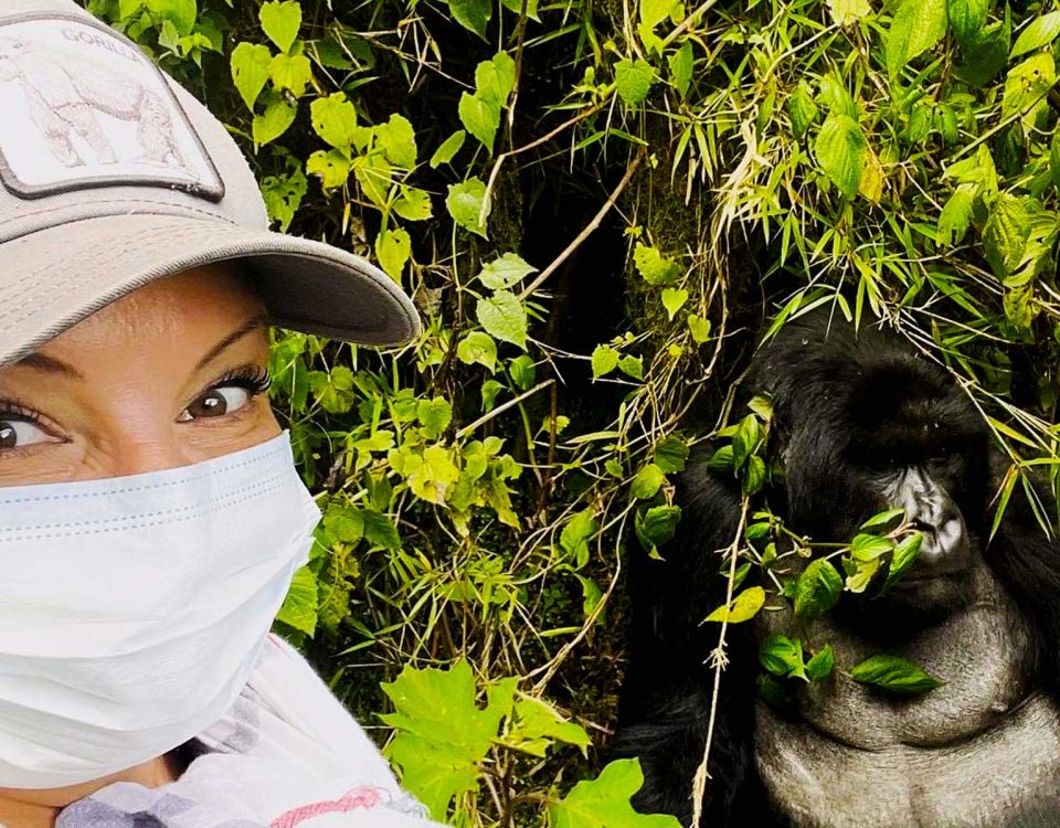 Rwanda Gorilla Trekking