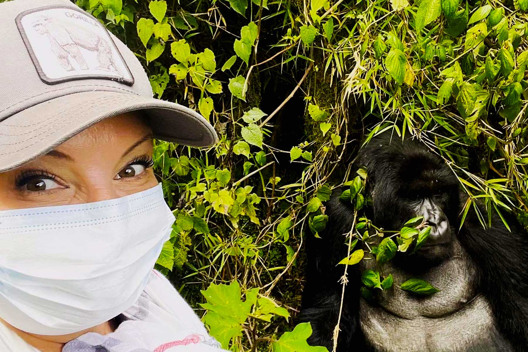 Rwanda Gorilla Trekking