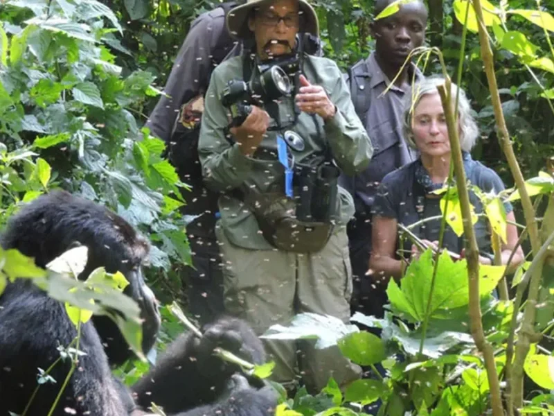 Uganda Wildlife Safaris
