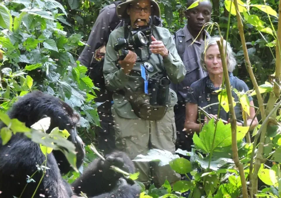 Uganda Wildlife Safaris