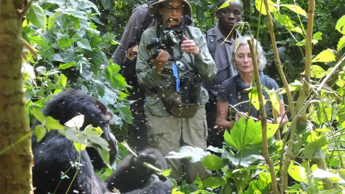 Uganda Wildlife Safari Experiences 