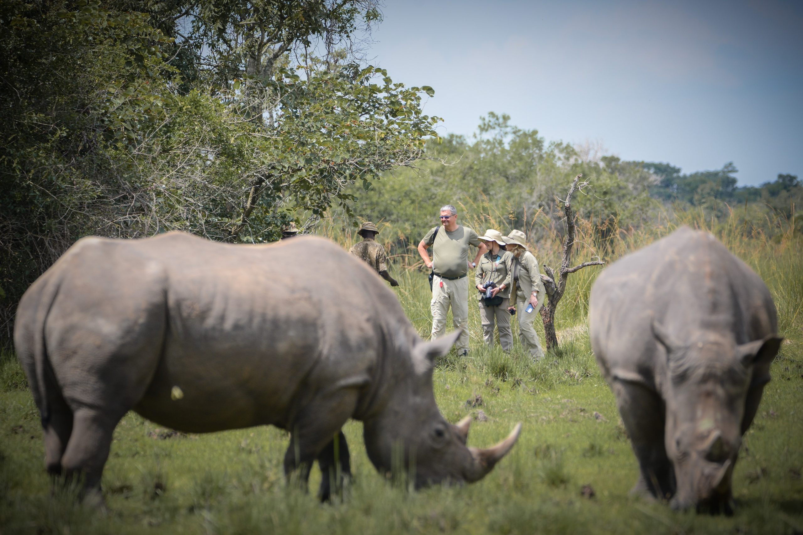 White Rhino Tracking Experience