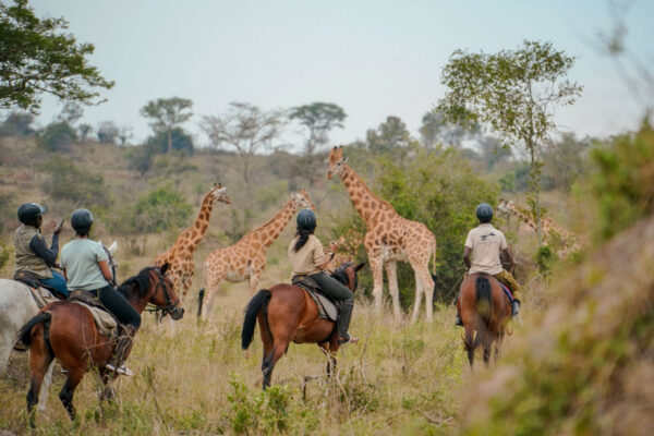 Lake Mburo -National Park 6 Days Gorilla Trekking & Wildlife Safari Uganda
