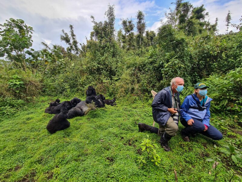 3 Days Fly into Rwanda and Track Gorillas at Bwindi Forest in Uganda Safari