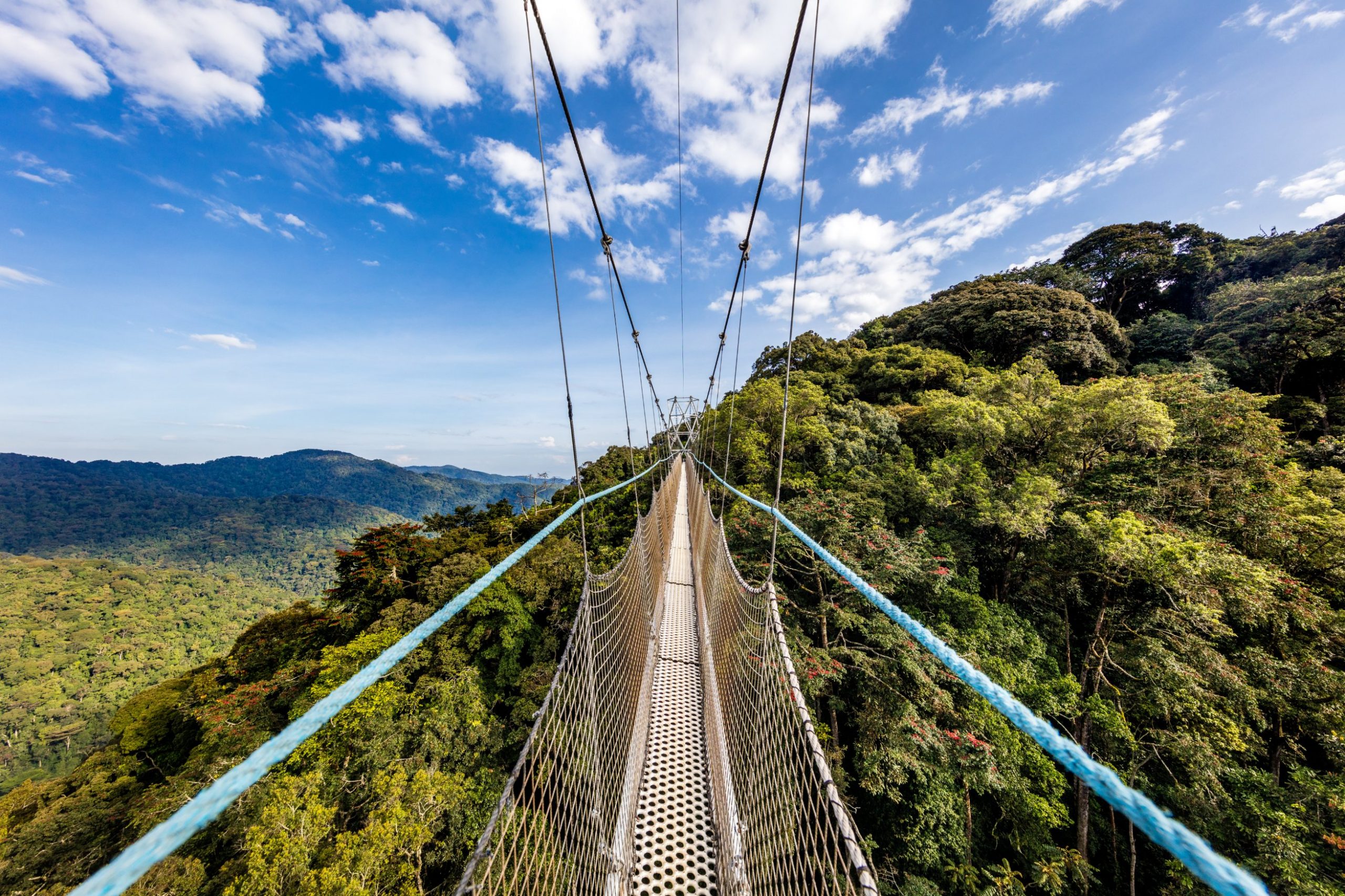 Nyungwe National Park Canopy Walk