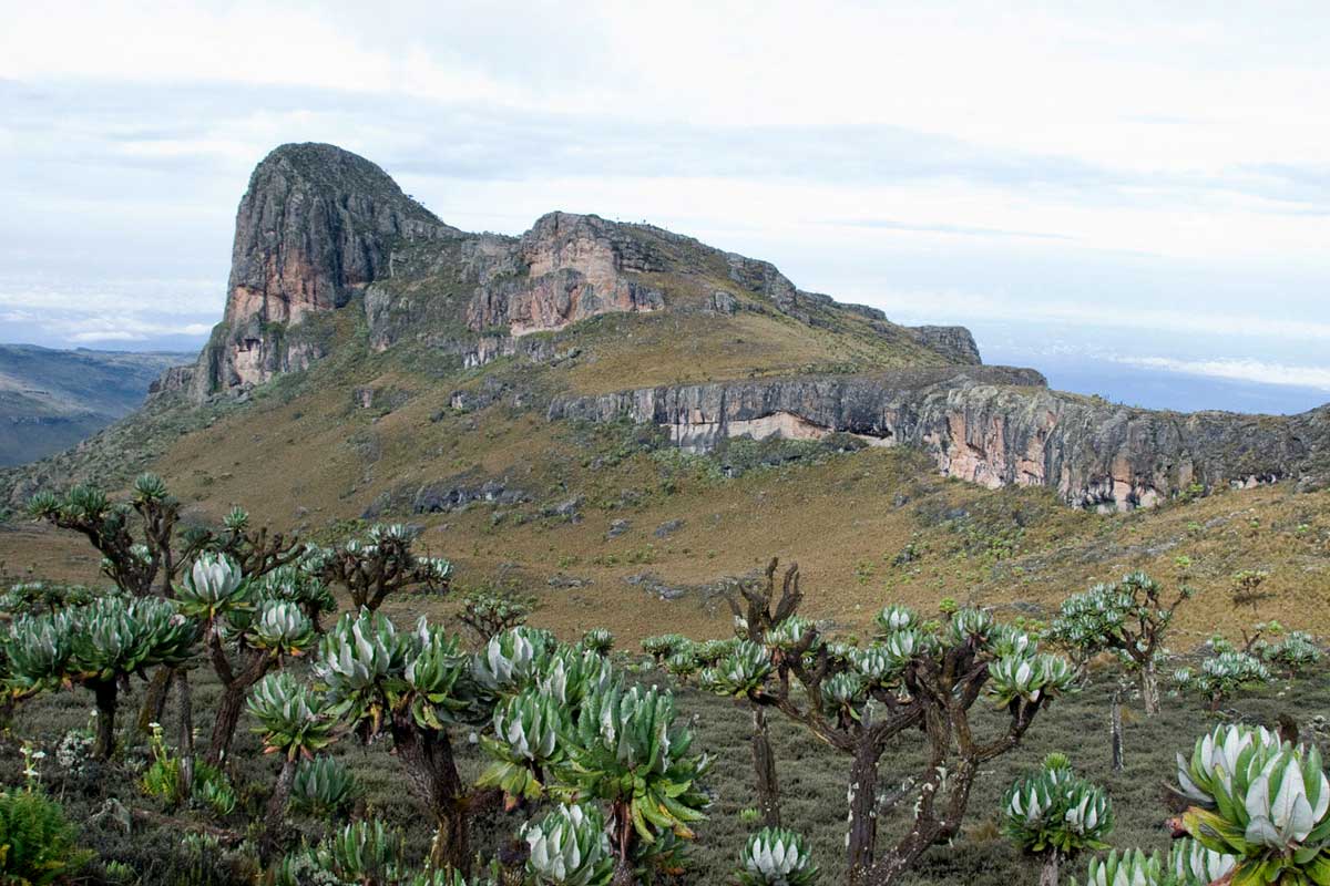 Mountain Elgon National Park